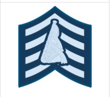Air Cadet Band Appointment Insignia